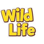 Wild Life: Wilde Tiere aus aller Welt