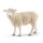 Schleich 13882 - Farm World - Schaf