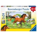 Ravensburger Kinderpuzzle - 08882 Welt der Pferde -...