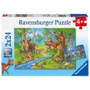 Ravensburger Puzzle Tiere des Waldes, Kinderpuzzle 2 x 24...