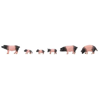 Faller H0 151916 - 6 Schwäbisch-Hällische Landschweine