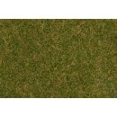 Faller 170234 - Streufasern Wildgras, braungrün, 4 mm, 80 g