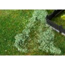 Faller H0, TT, N, Z 181619 - Blätterfoliage,...