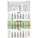 ZETTLER 3-Monatskalender 2025 Recycling, 29,5 x 49 cm - 3...