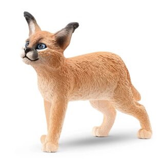 Schleich 14868 - Wild Life - Karakal Junges