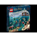 LEGO 76420 - Harry Potter Trimagisches Turnier: Der Schwar