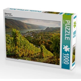LianeM:Oberwesel, 1000 Teile SPL