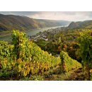 Oberwesel-Puzzle, 1.000 Teile