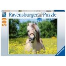 Ravensburger Puzzle 500 Teile Pferd im Rapsfeld