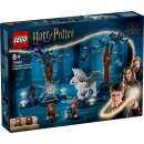 LEGO 76432 - Harry Potter verbotene Wald Magische Wesen