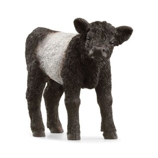 Schleich 13969 - Farm World - Galloway Kalb