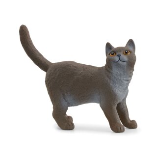 Schleich 13973 - Farm World - Britische Kurzhaar Katze