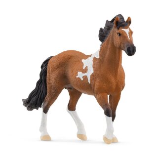 Schleich 13978 - Horse Club - Mangalarga Marchador Hengst