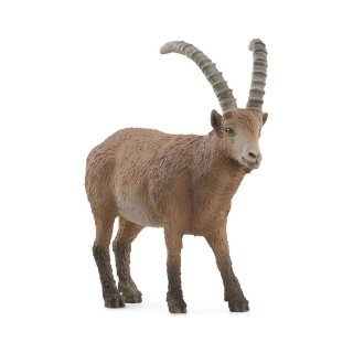 Schleich 14873 - Wild Life - Steinbock