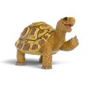 Schleich 14910 - Die Schule der magischen Tiere -...