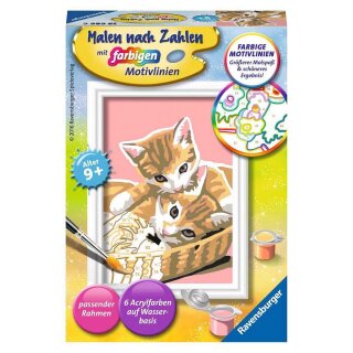 Ravensburger Malen nach Zahlen Katzenbabys