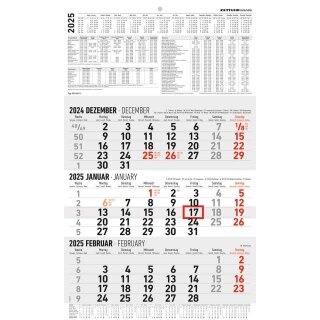 ALPHA Wandkalender 2025 3-Monats-Planer, 30 x 48,8 cm