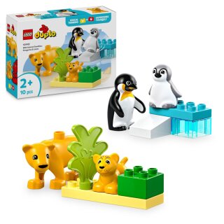 LEGO 10442 - Duplo Wildtier-Familien Pinguine und Löwen