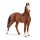 Schleich 14897 - Horse Club -  Marwari Stute