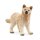 Schleich 14881 - Wild Life - Polarwolf Welpe