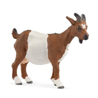 Schleich 14887 - Farm World - Ziege