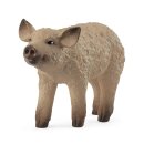 Schleich 14893 - Farm World - Wollschwein Ferkel