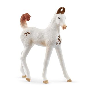 Schleich 14896 - Horse Club - Marwari Fohlen