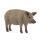 Schleich 14892 - Farm World - Wollschwein