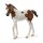 Schleich 14899 - Horse Club - Paint Horse Fohlen