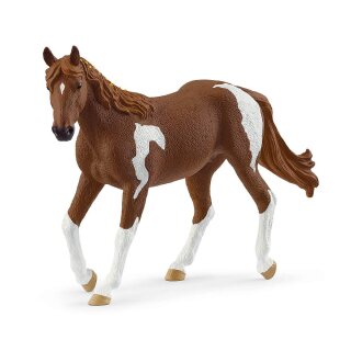 Schleich 14901 - Horse Club - Paint Horse Stute