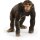 Schleich 14883 Wild Life Schimpanse