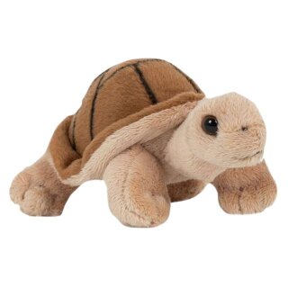 SEMO Landschildkröte braun 13cm