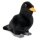 SEMO Amsel 20cm