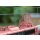 Märklin H0 MHI Digital mfx+ Sound - 39136 E-Lok BR 151 DB - verbindliche Vorbestellung