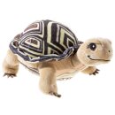 HEUNEC Schule der magischen Tiere Schildkröte...