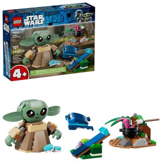 LEGO 75443 Star Wars Grogus Zuhause