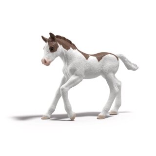 Schleich 81459 Horse Club Sammelfohlen Dipper