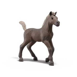 Schleich 81460 Club Horse Sammelfohlen Darcy
