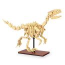 CaDA Dinosaurier Fossil Velociraptor 256 Teile 1:9