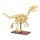 CaDA Dinosaurier Fossil Velociraptor 256 Teile 1:9