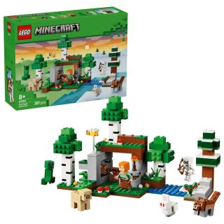 LEGO 21593 Minecraft Erstes Abenteuer in der Nacht