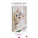 HEYE Whiskas Familienplaner 2027 - Specatular! - Ein...