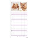 HEYE Whiskas Familienplaner 2027 - Specatular! - Ein...