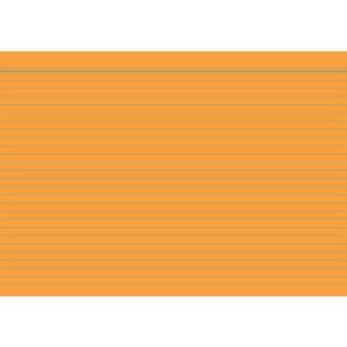 RNK 115066 - Karteikarten A6 100 Stück liniert orange