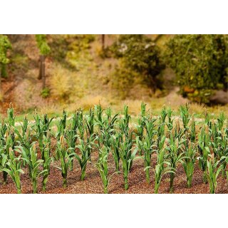 Faller H0 - 181250 - 36 Maispflanzen