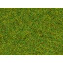 Noch 08300 Streugras Frühlingswiese, 2,5 mm, 20g