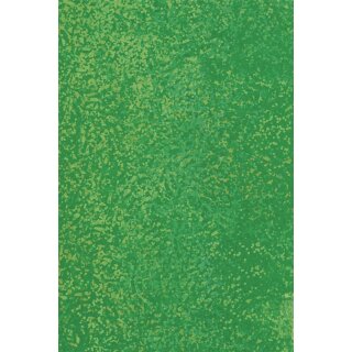 Heyda Holografiefolie 50x100cm Rl gn sk