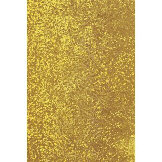Heyda Holografiefolie 50x100cm Rl go sk