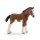 Schleich 13810 - Horse Club - Clydesdale Fohlen