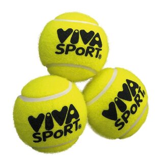 VIVA SPoRT Tennisbälle in der Dose im 3er Set